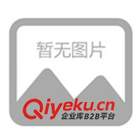 供應春之暉體恤印花機 T恤印刷機  體恤印刷機